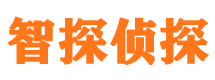 田阳外遇调查取证